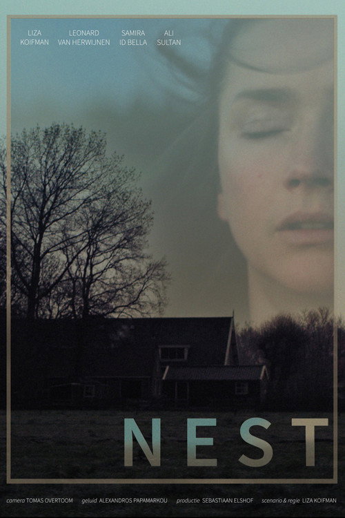 Movie poster for Nest (2019)