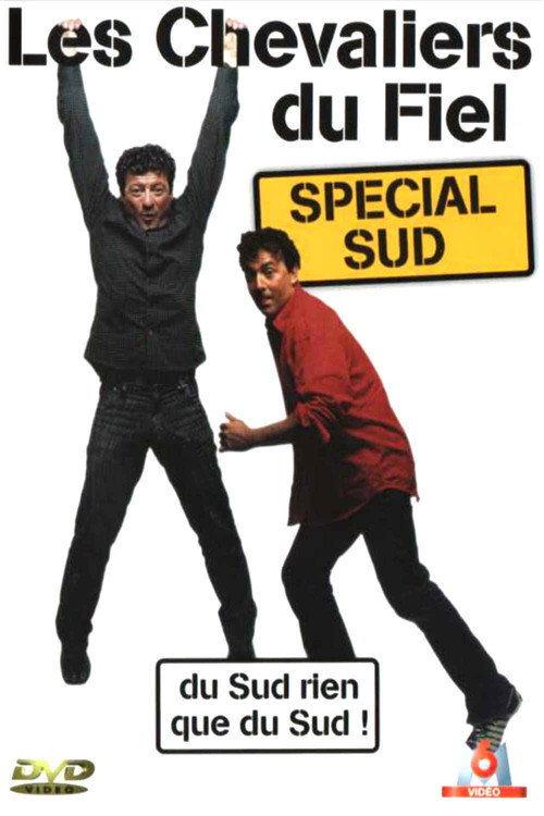 Movie poster for Les Chevaliers du Fiel : Spécial Sud (2004)