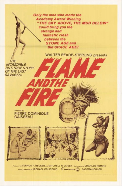 Movie poster for Flame and the Fire (1966)