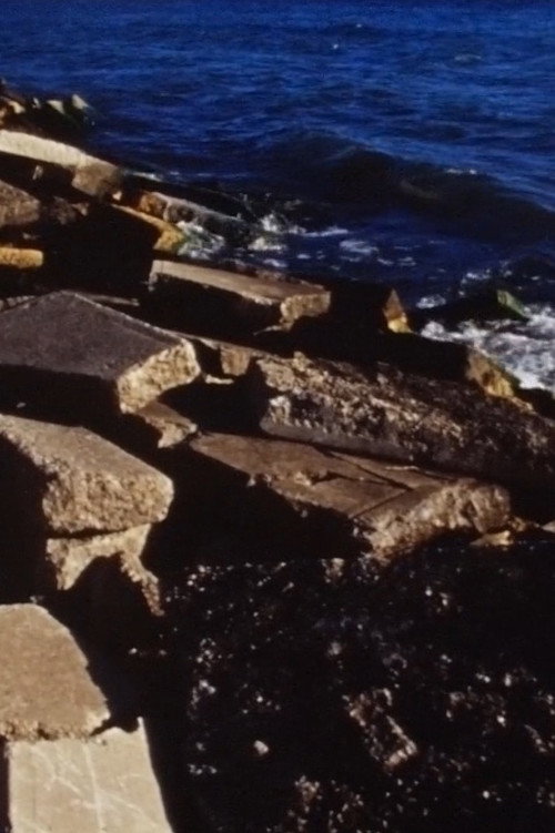 Movie poster for Low Tide (2019)