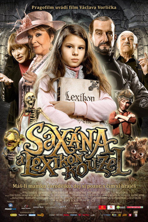 Movie poster for Little Witch on a Broomstick (2011)