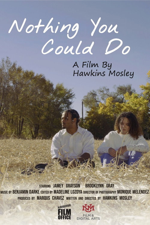 Movie poster for Nothing You Could Do (2025)