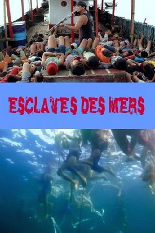 Movie poster for Slaves of the Seas (2009)
