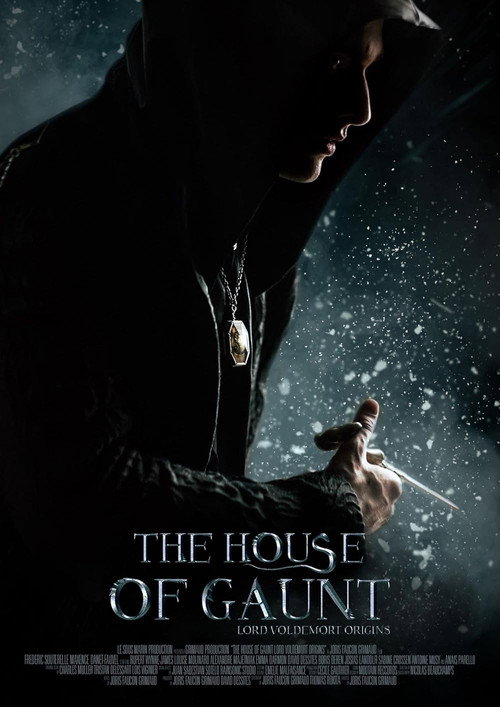 Movie poster for The House of Gaunt (2021)