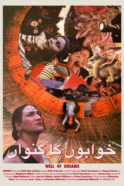 Movie poster for Well of Dreams (2024)