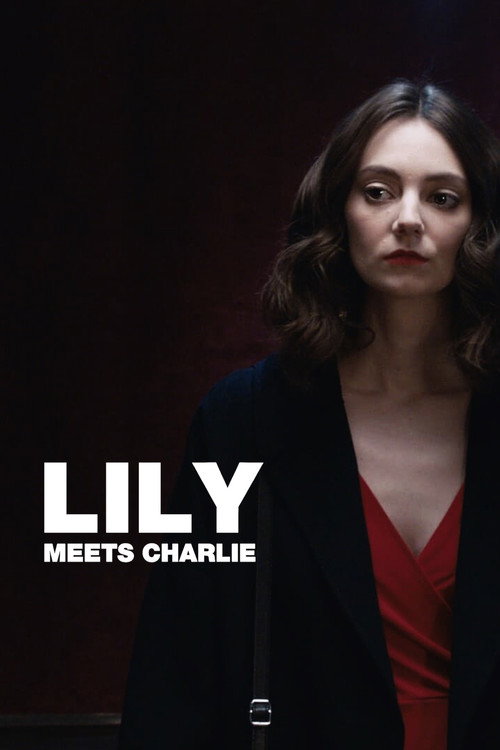 Movie poster for Lily Meets Charlie (2019)