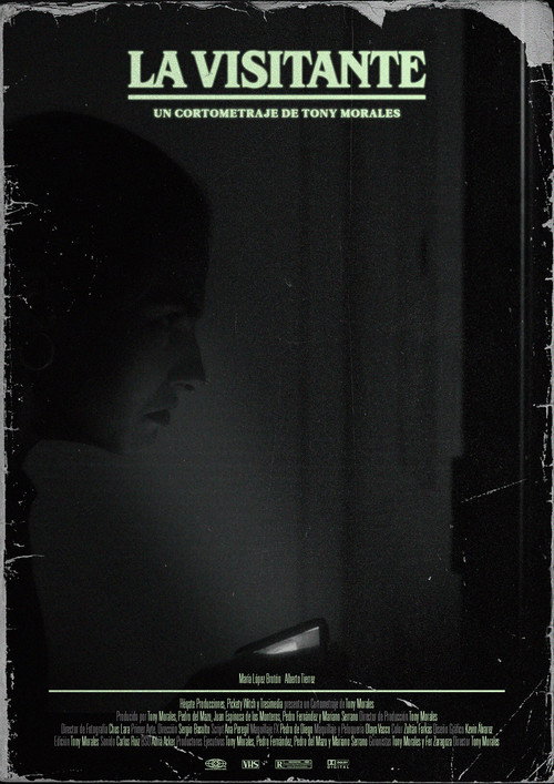 Movie poster for La visitante (2024)