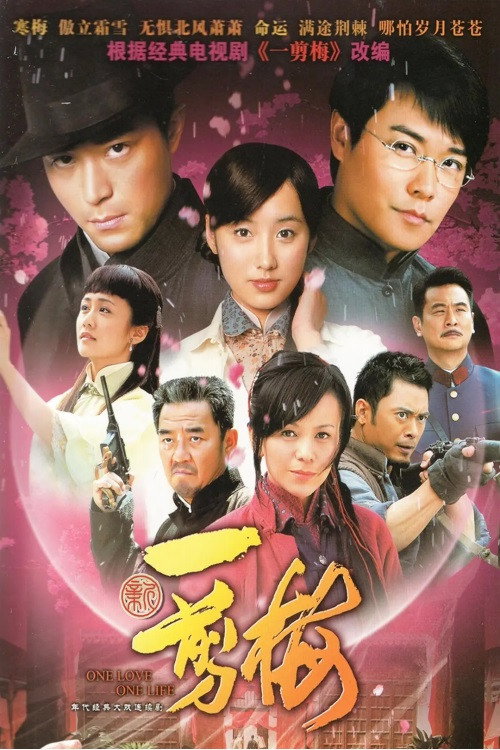 Series poster for New Spring of Plum Blossoms (2010)