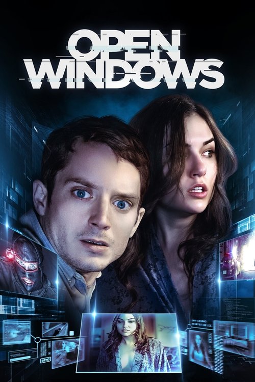 Movie poster for Open Windows (2014)