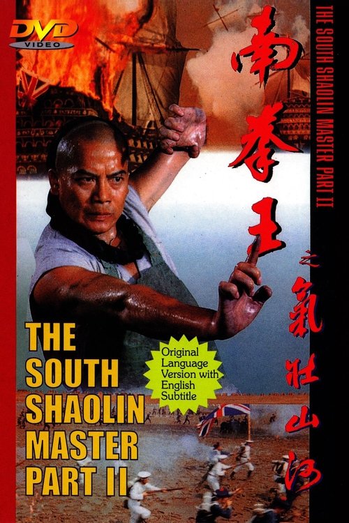 Movie poster for The South Shaolin Master Part II (1994)
