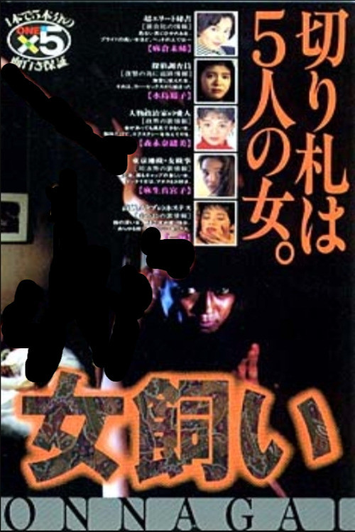 Movie poster for The Woman Tamer (1995)