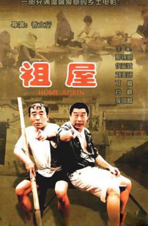 Movie poster for Home Again (1995)