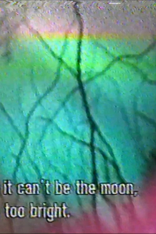 Movie poster for 5:5 fallen moon (2024)