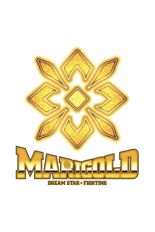 Series poster for Dream Star★Fighting Marigold (2024)