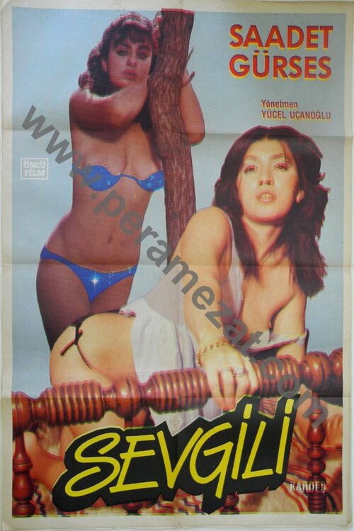 Movie poster for Sevgili Kardeş (1978)