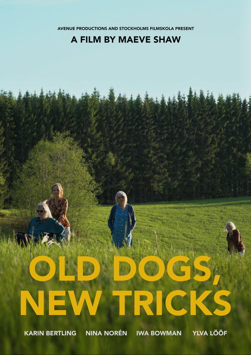 Movie poster for Old Dogs, New Tricks