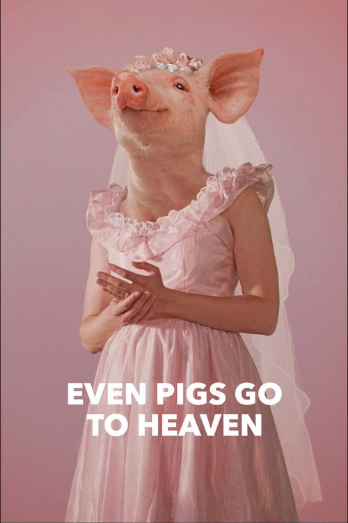 Movie poster for Even Pigs Go to Heaven (2022)