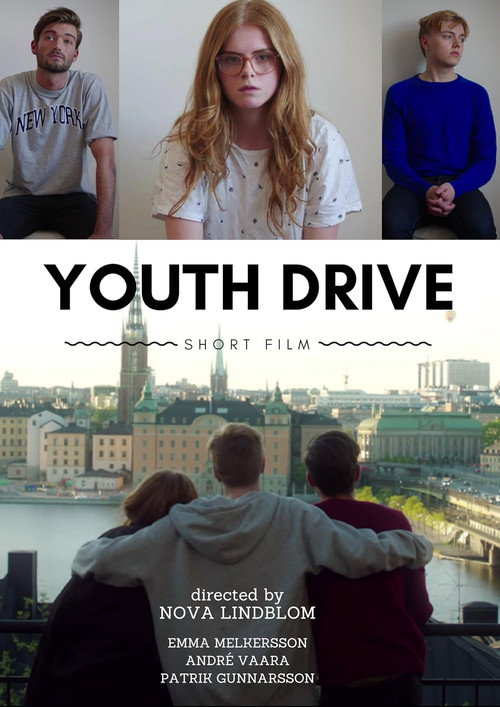 Movie poster for Youth Drive (2016)