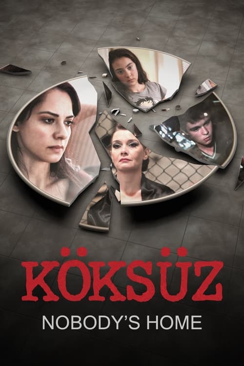 Movie poster for Nobody's Home (2013)