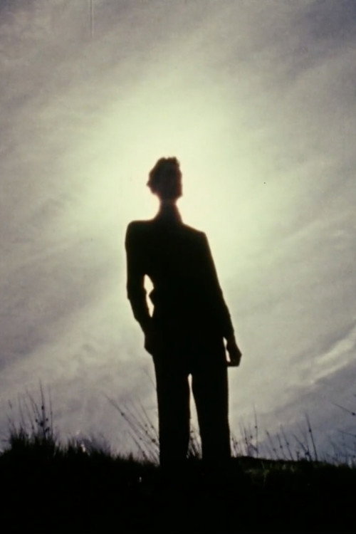 Movie poster for The Secret (1973)