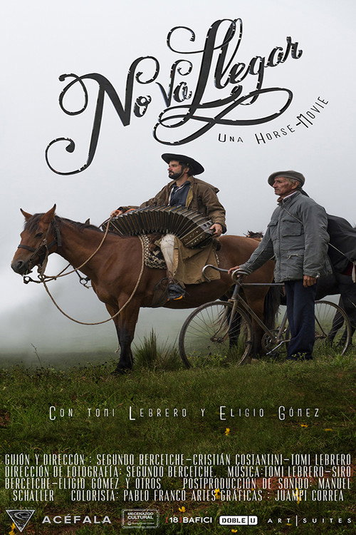 Movie poster for No va llegar (2016)