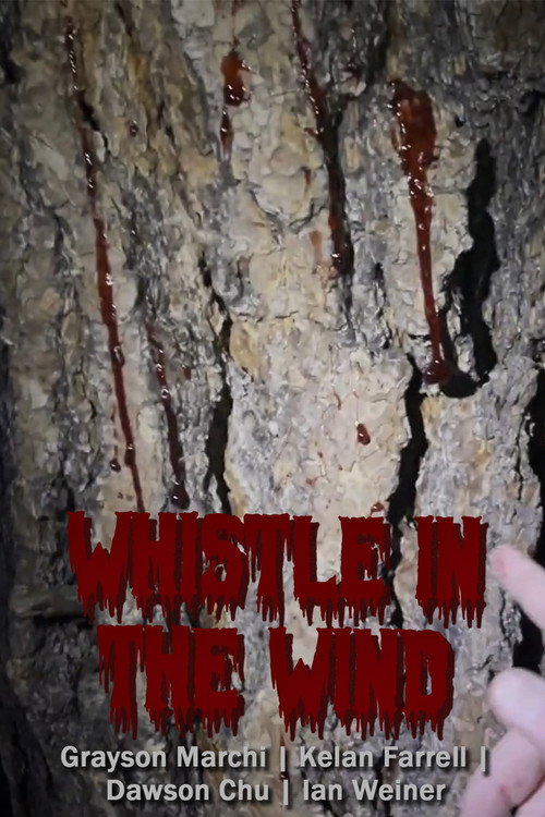 Movie poster for Whistle in the Wind (2024)
