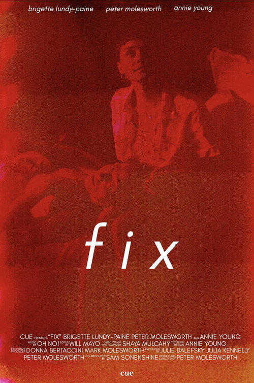 Movie poster for Fix (2019)