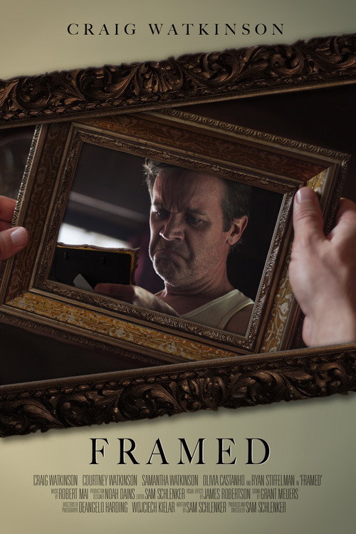 Movie poster for Framed (2023)