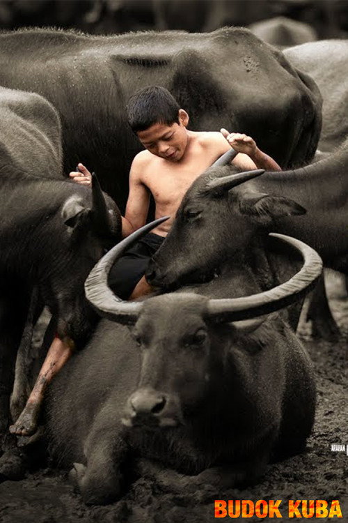 Movie poster for Budok Kuba (2019)