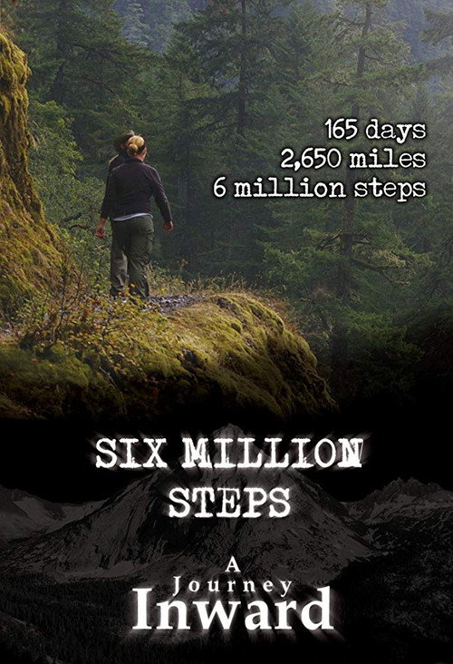 Movie poster for Six Million Steps: A Journey Inward (2011)