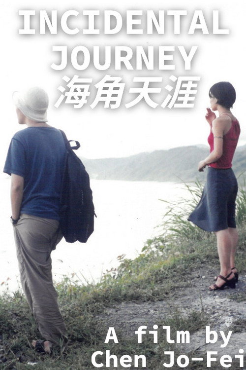 Movie poster for Incidental Journey (2000)