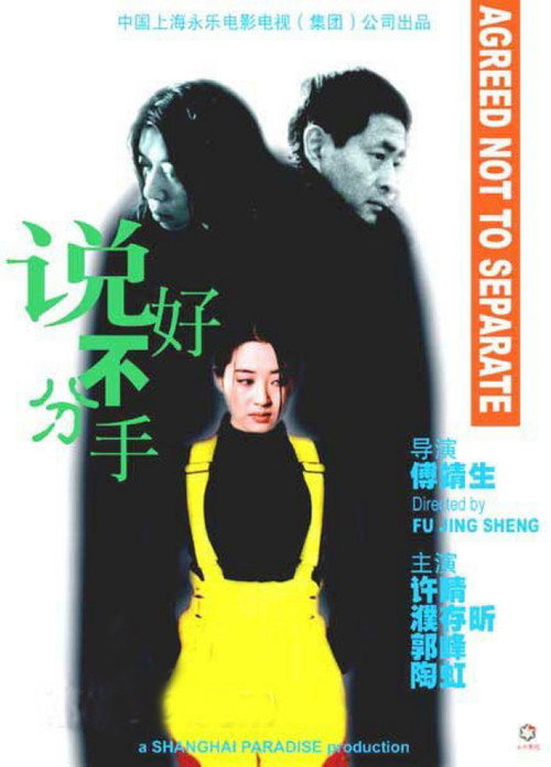 Movie poster for Agreed Not to Separate (1999)