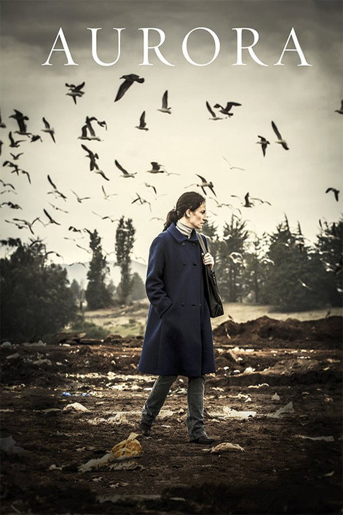 Movie poster for Aurora (2014)