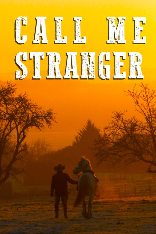 Movie poster for Call Me Stranger (2025)