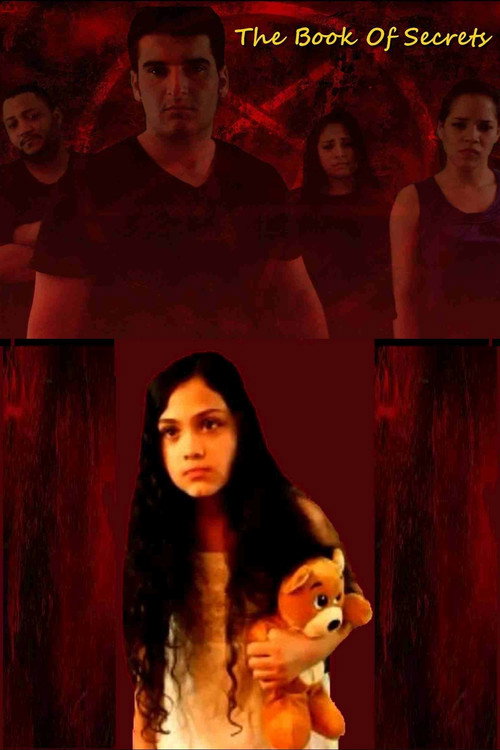 Movie poster for The Book of Secrets (2017)