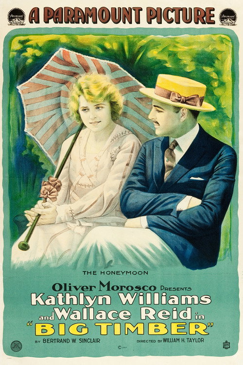 Movie poster for Big Timber (1917)
