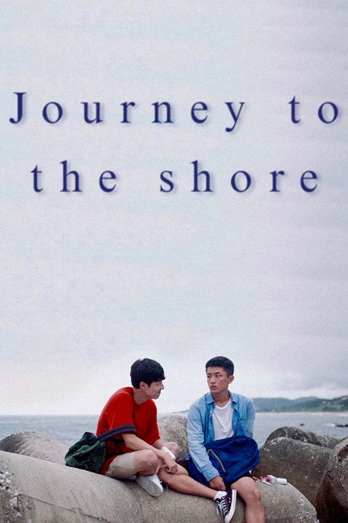 Movie poster for Journey to the Shore (2020)