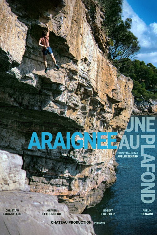 Movie poster for Une Araignée au Plafond (2021)