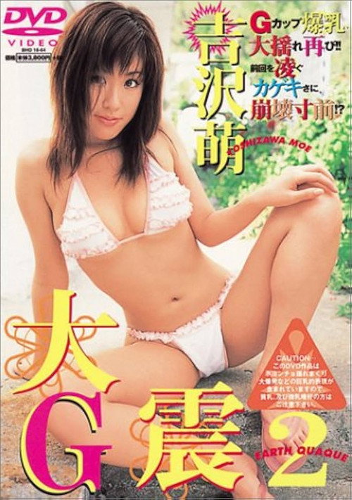 Movie poster for 吉沢萌:大G震2 (2004)