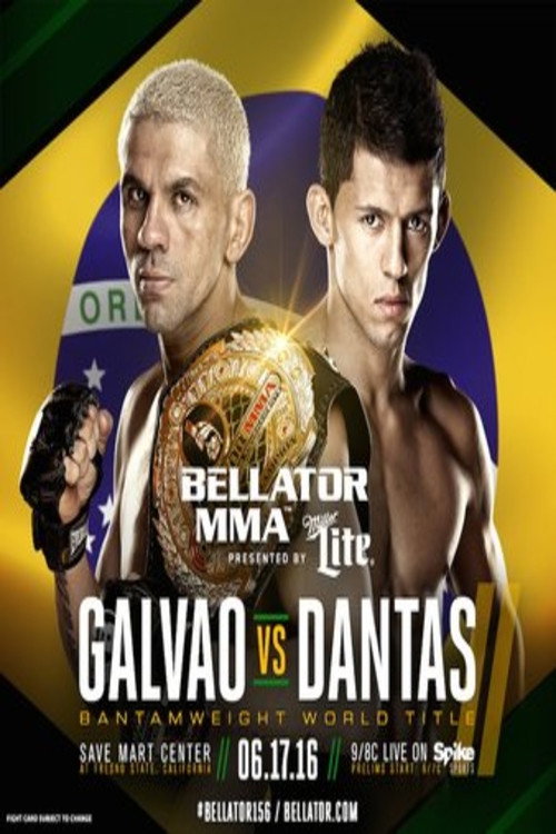Movie poster for Bellator 156:  Galvao vs. Dantas 2 (2016)