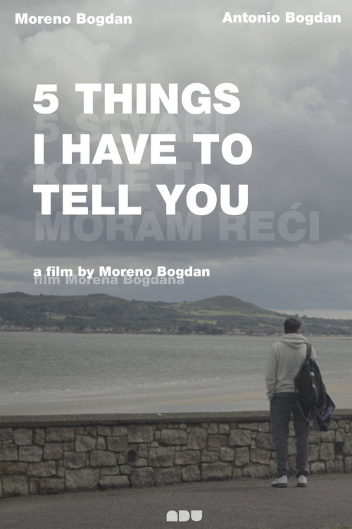 Movie poster for 5 Things I Have to Tell You (2025)