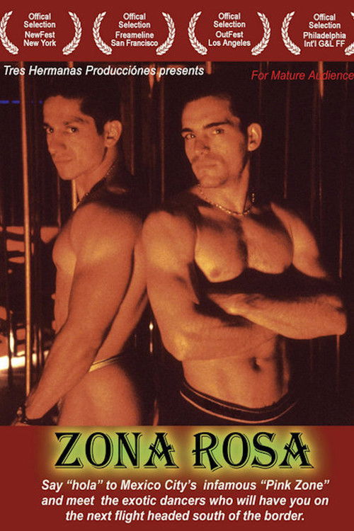 Movie poster for Zona Rosa (2005)