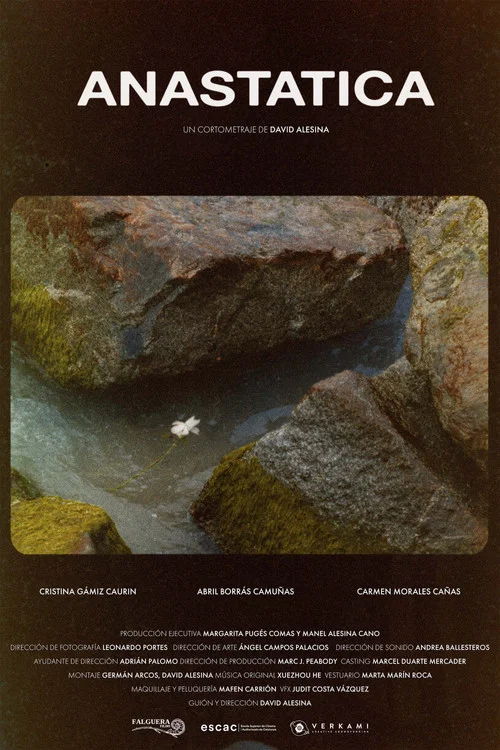 Movie poster for Anastatica (2023)