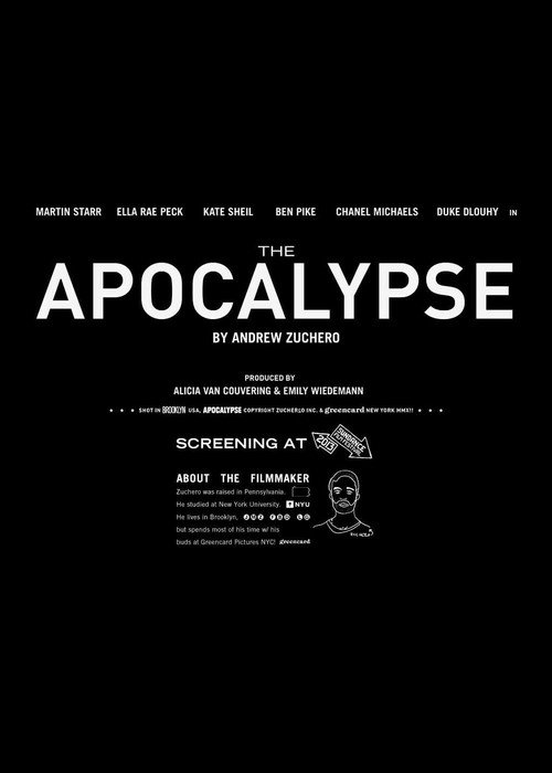 Movie poster for The Apocalypse (2013)