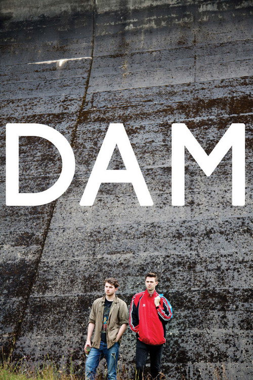 Movie poster for Dam (2017)