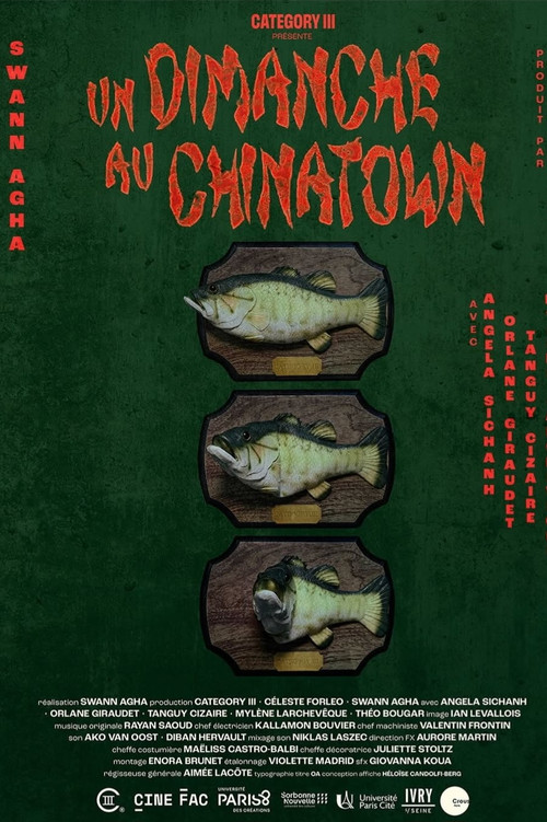 Movie poster for Un dimanche au Chinatown (2025)