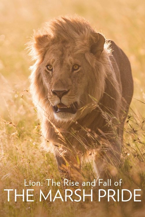 Movie poster for Lion: The Rise and Fall of the Marsh Pride (2022)