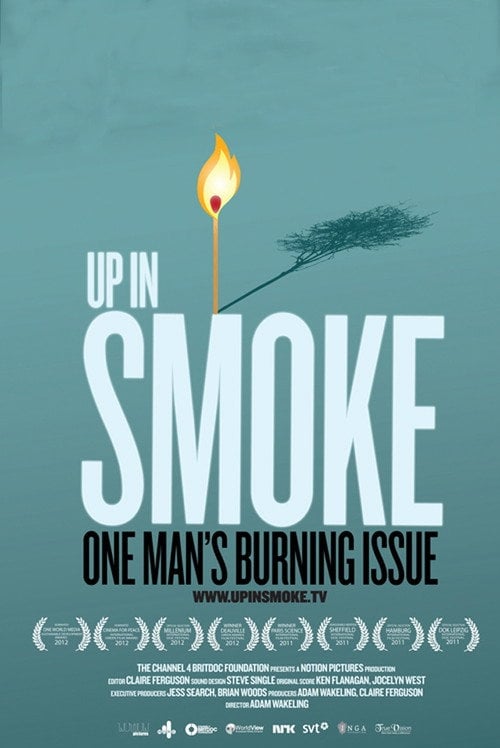 Movie poster for Up in Smoke (2011)