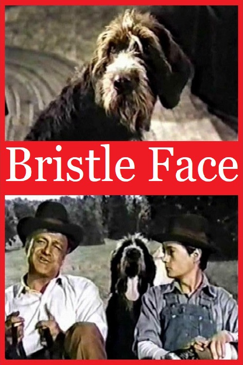 Movie poster for Bristle Face (1964)
