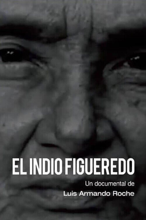 Movie poster for El Indio Figueredo (1972)